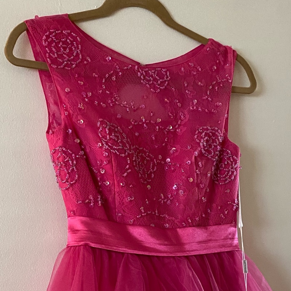 NWT JJs House Pink Tulle Prom, Special Occasion, Formal Events Dress - Picture 4 of 7